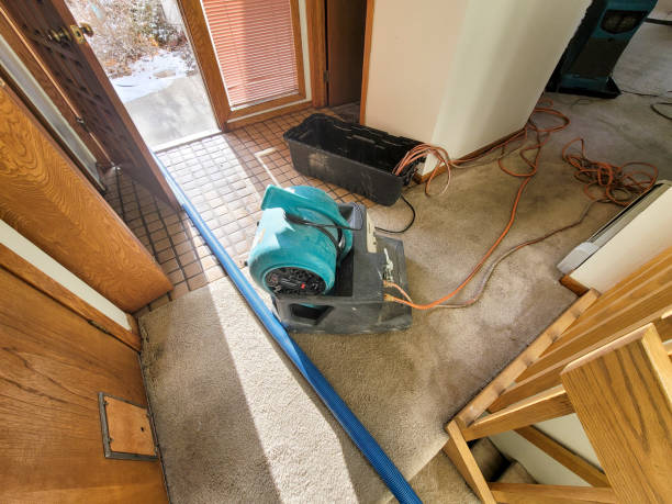 Best Basement water damage restoration  in Parkville, MO