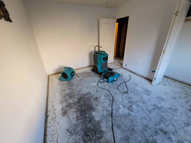 Best 24-hour water damage restoration  in Parkville, MO