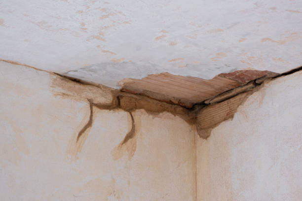 Best Water damage repair service  in Parkville, MO