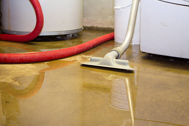 Best Water damage cleanup near me  in Parkville, MO