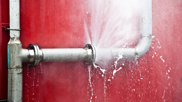 Best Mold removal after water damage  in Parkville, MO